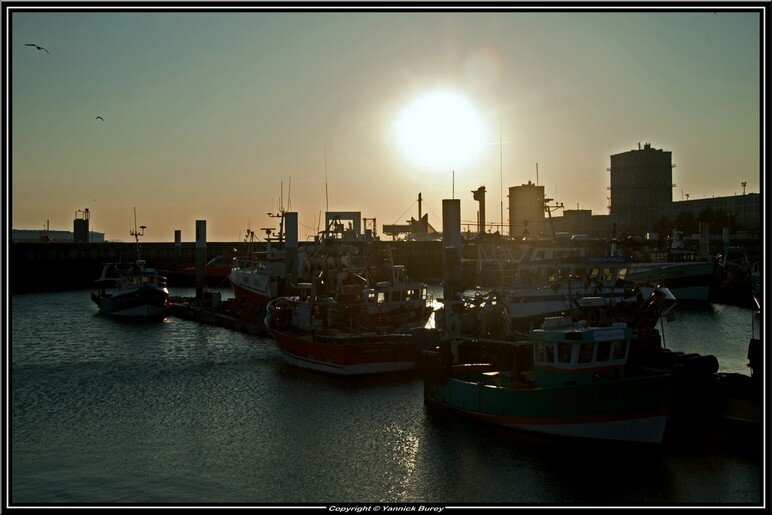 _MG_3864