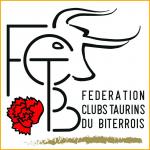 logo FCTB carré