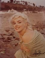 2017-08-13-iconic_image_Marilyn-juliens-lot42