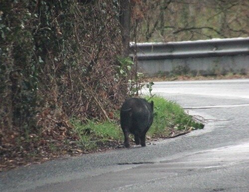 52 semaines en photos-sur la route