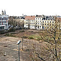 La ville de caen et la préfecture du calvados condamnés pour abattage illégal d'arbres...