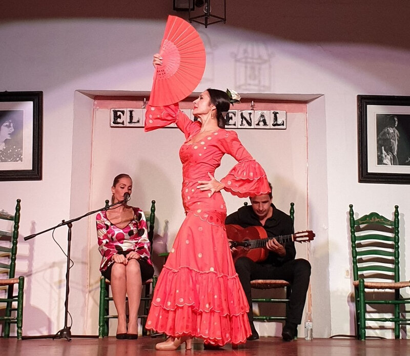 flamenco (2)