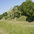 _DSC0046