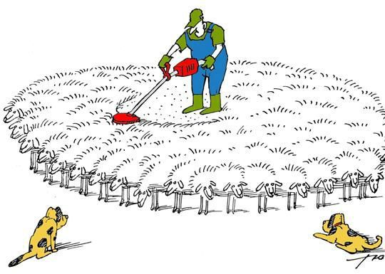 de-l-art-de-faire-paitre-les-moutons