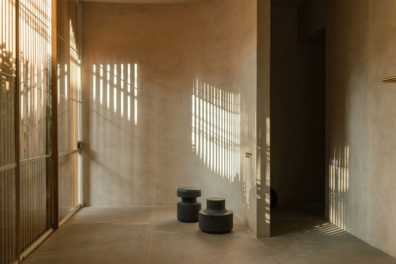 Casa-Octavia-in-La-Condesa-by-Perez-Palacios-Arquitectos-Asociados-3