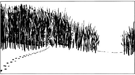 neige_1
