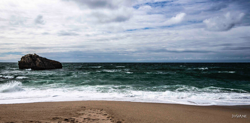 04052019-_MG_5320