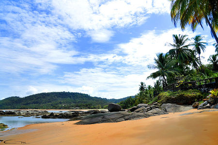 Plage De Guyane Photo 15122008 Eric Hénault