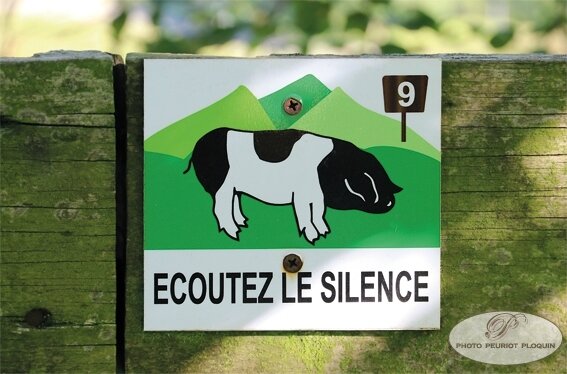 LES_ALUDES_elevage_de_porcs_Kintoas_parcours_de_visite_ecoutez_le_silence