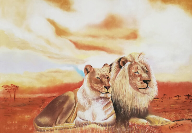 Africa - pastelmat 50 x 70 cm