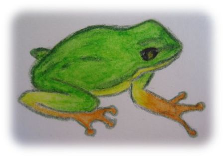frogdraft