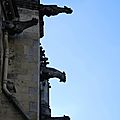 Nevers, cathédrale, gargouilles D (58)