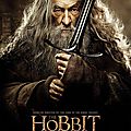 The Hobbit Desolation of Smaug Gandalf poster