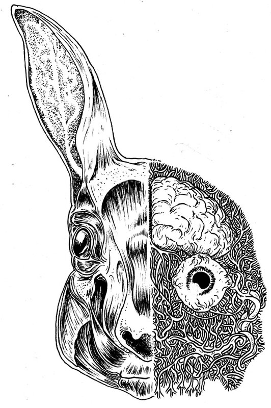 ecorchee_dessin