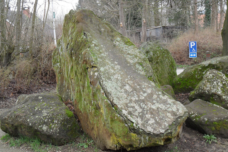 Dion-le-Mont-20200304-0010