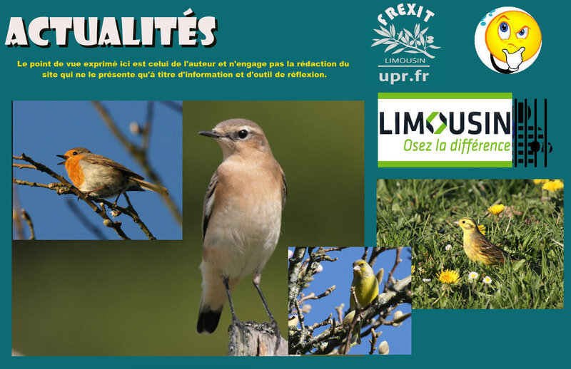 ACT LIMOUSIN PIAFS