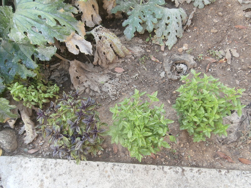 P8310159