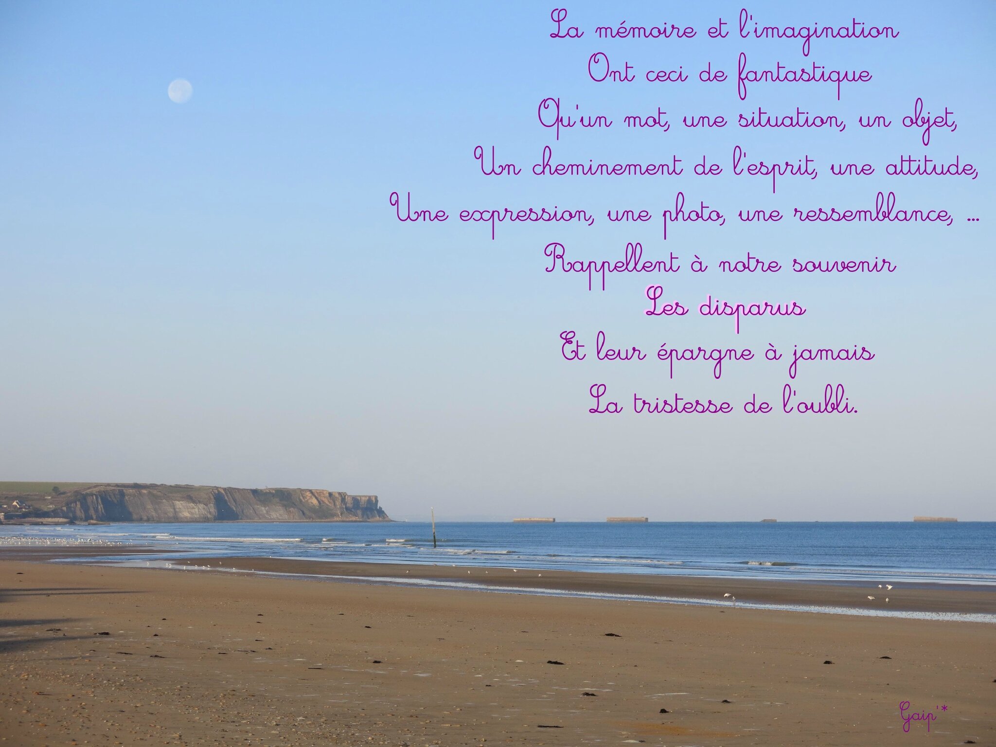 Nos Disparus Citations Reflexions