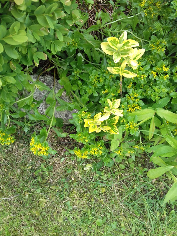 20190622_113440