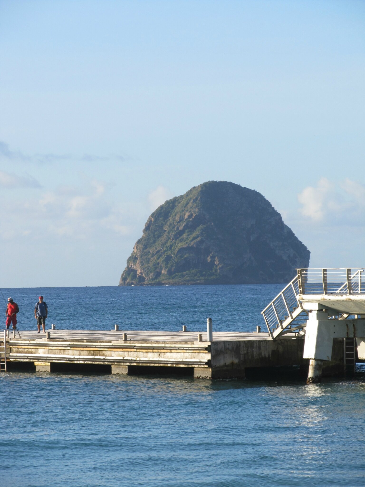 le rocher du diamant en Martinique une mouette en France